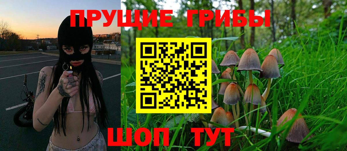 Галлюциногенные грибы Psilocybe  Галлюциногенные грибы мухоморы  Нововоронеж  Вход с VPN 